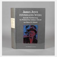 James Joyce, Finnegans Wehg111