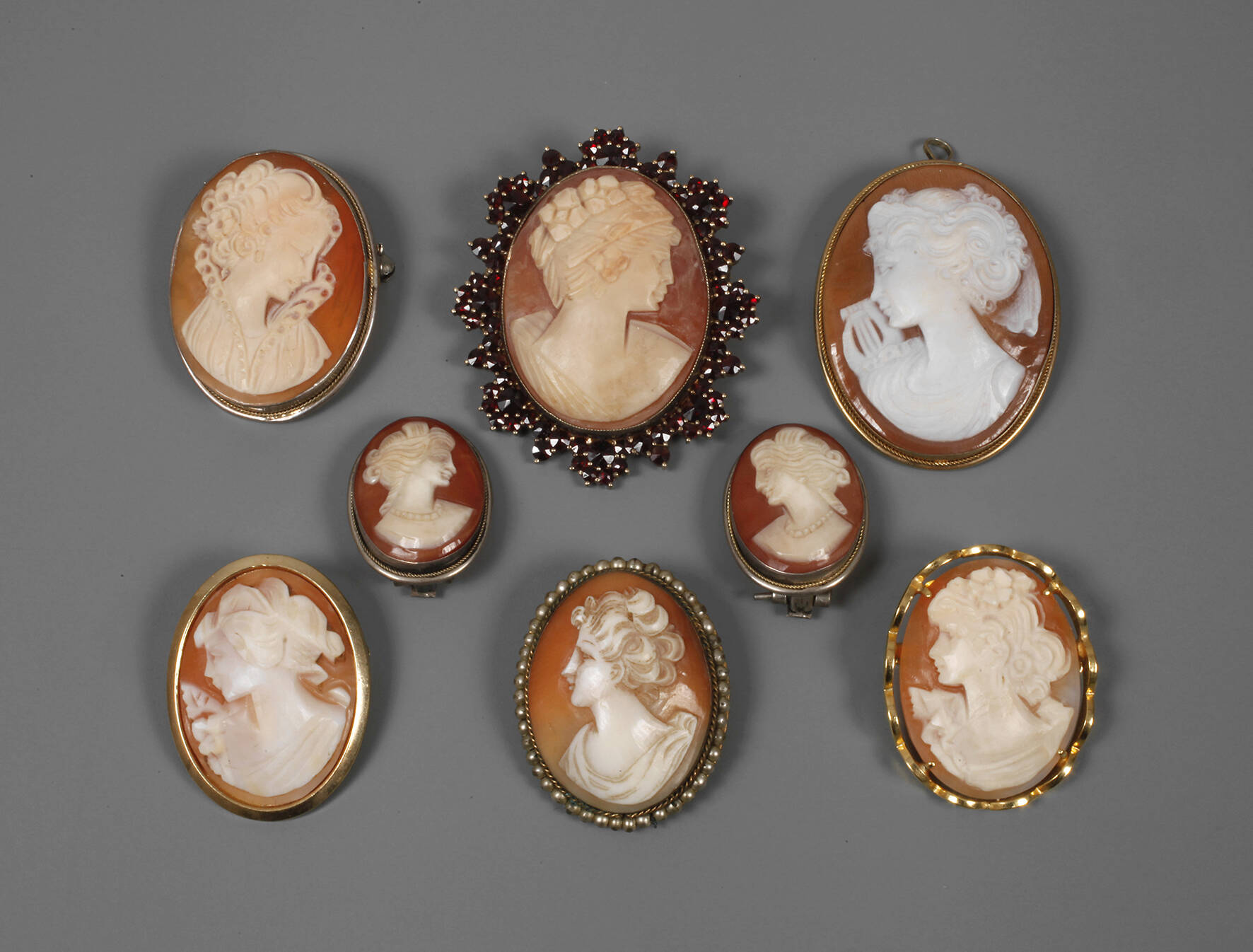 Sammlung Muschelkameenbroschen