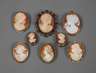 Sammlung Muschelkameenbroschen