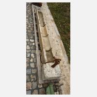 Rinnentrog-Anlage mit Wasserpumpe111