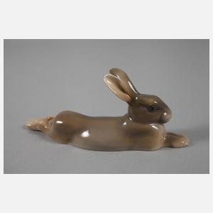 Kopenhagen Hase