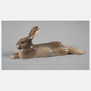 Kopenhagen Hase