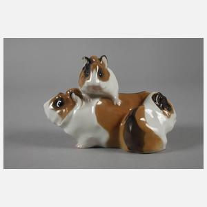 KPM Berlin Meerschweinchengruppe