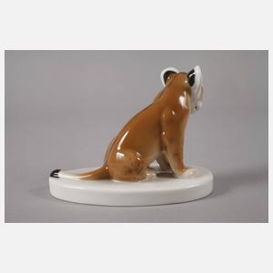 Meissen "Junge Löwin"