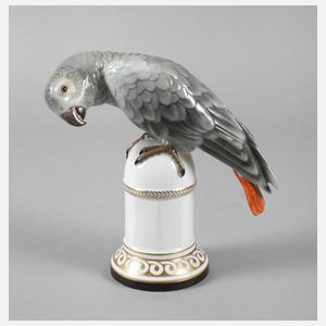 Zeh, Scherzer & Co. Papagei