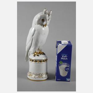 Zeh, Scherzer & Co. Eule