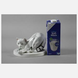 Böhmen spielende Katze