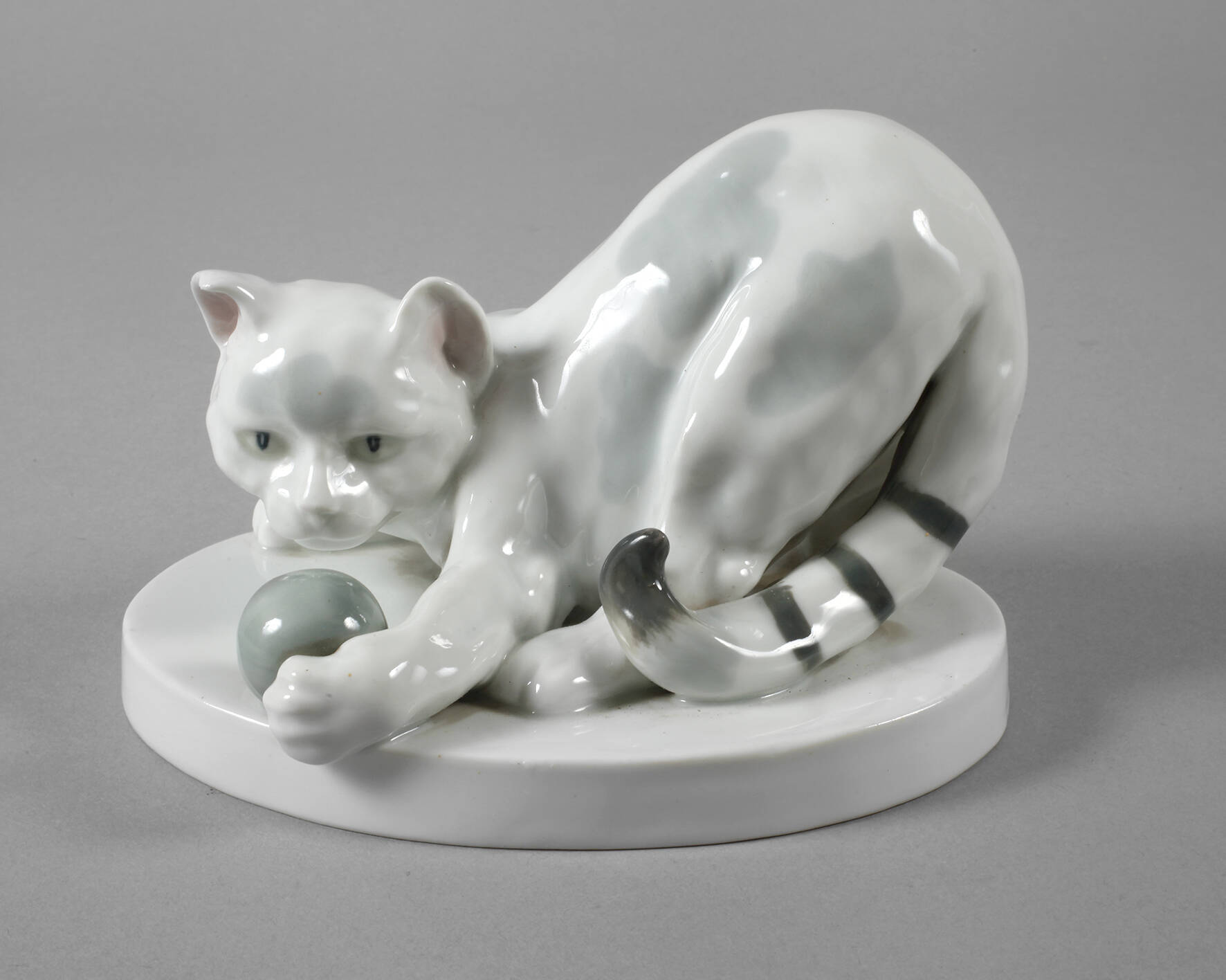 Böhmen spielende Katze