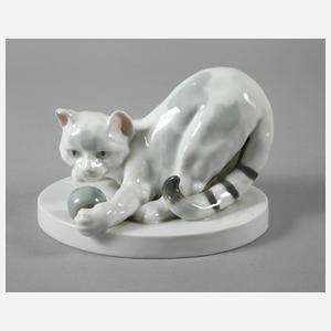 Böhmen spielende Katze