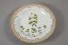 Kopenhagen Speiseteller "Flora Danica"