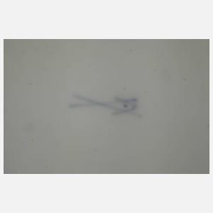 Meissen Paar Speiseteller Punktzeit