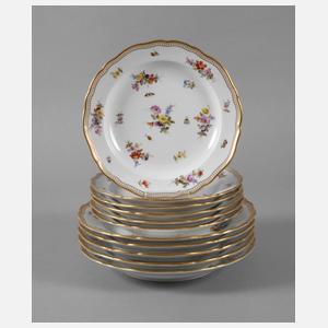 Meissen Konvolut Teller Bukettchen mit Insekten