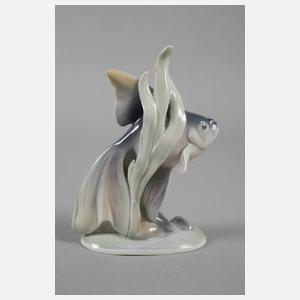 Metzler & Ortloff Schleierschwanz