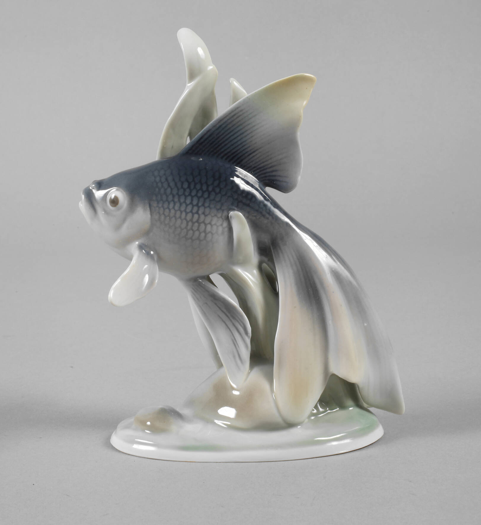 Metzler & Ortloff Schleierschwanz