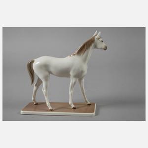 Nymphenburg "Araberpferd, stehend"