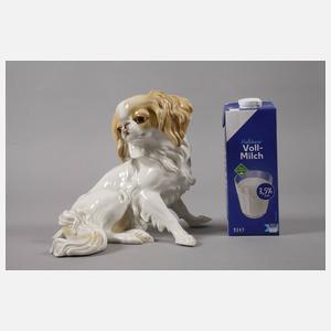 Nymphenburg "Chinhund (King Charles)"
