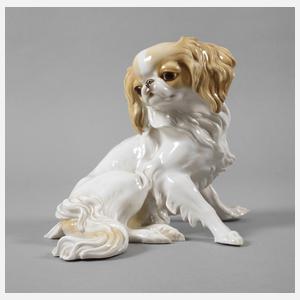 Nymphenburg "Chinhund (King Charles)"