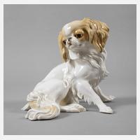 Nymphenburg "Chinhund (King Charles)"111