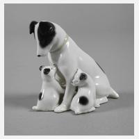 Pfeffer Gotha Hundegruppe111