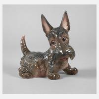 Rosenthal Scotch Terrier111