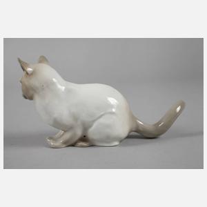 Thüringen Siamkatze