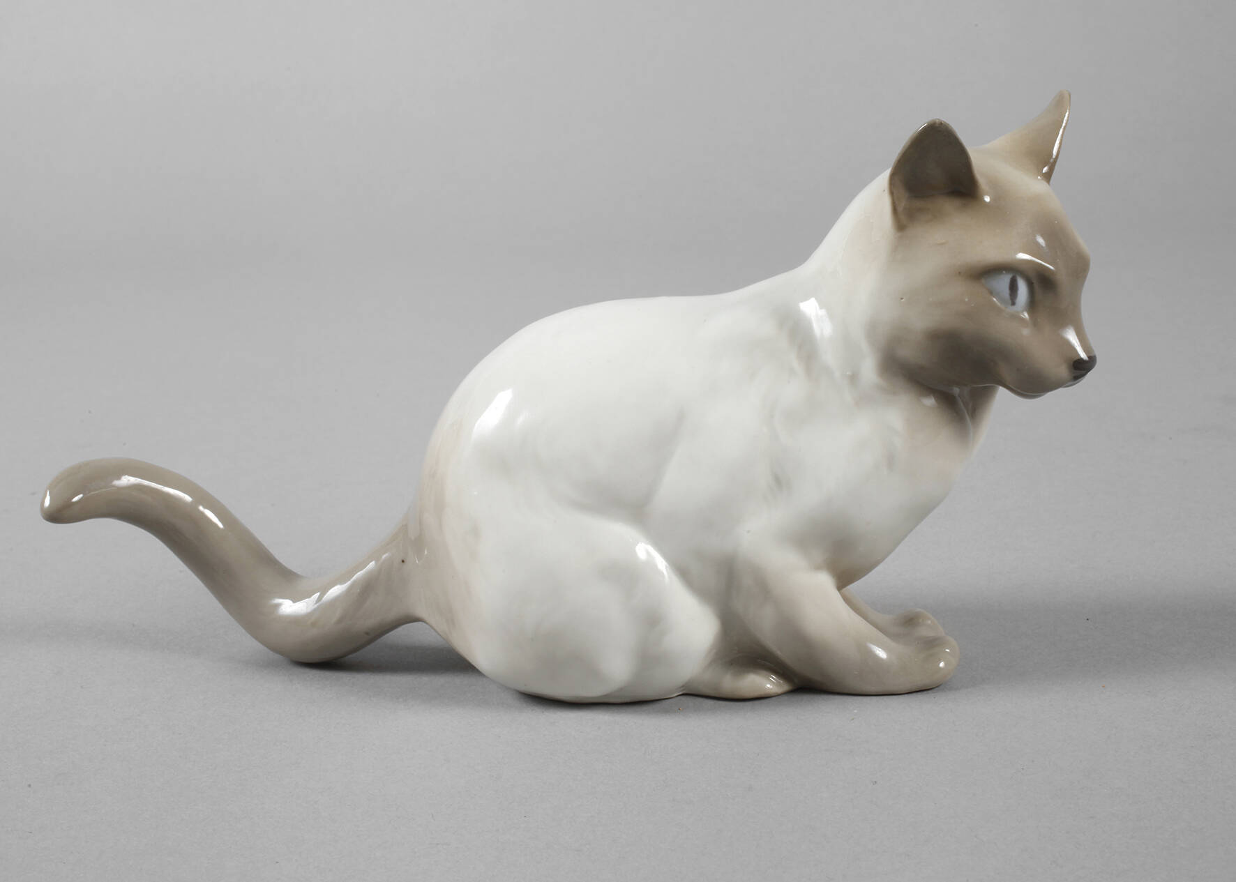 Thüringen Siamkatze