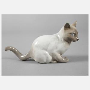 Thüringen Siamkatze