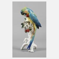 Volkstedt Papagei111