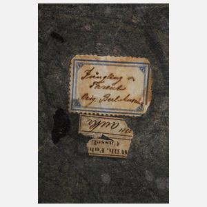 Antikisierendes Kopfstück