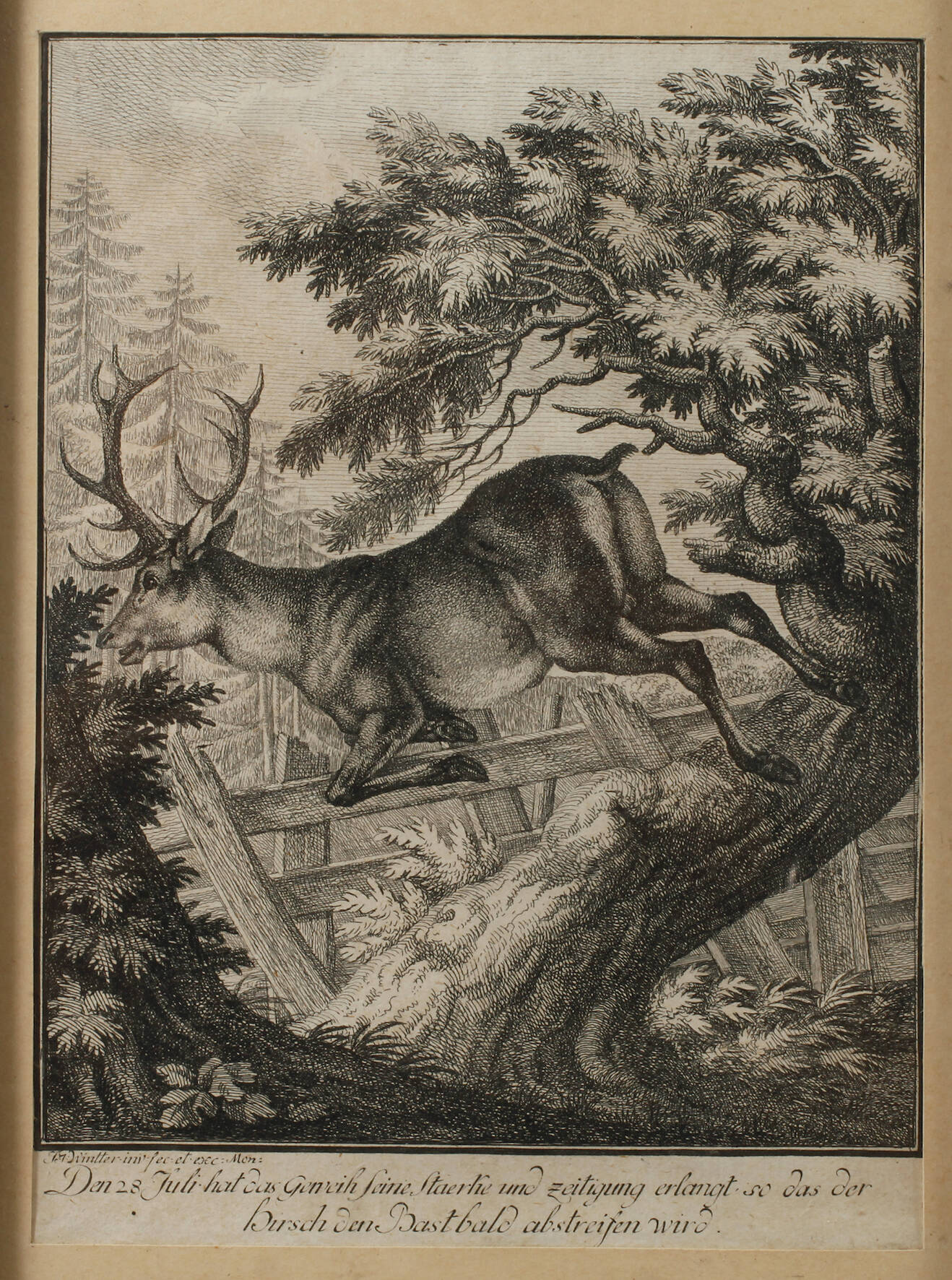 Johann Georg Winter, Flüchtender Hirsch