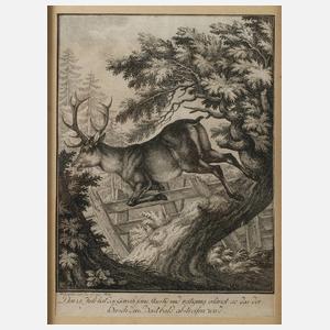 Johann Georg Winter, Flüchtender Hirsch