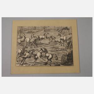 Auf der Pferdekoppel