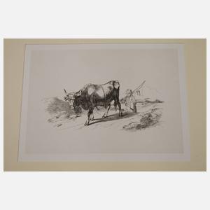 Friedrich Wilh. Keyl, "Szenen aus dem Thierleben"