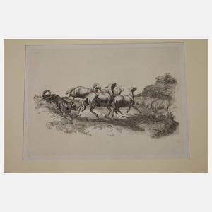 Friedrich Wilh. Keyl, "Szenen aus dem Thierleben"