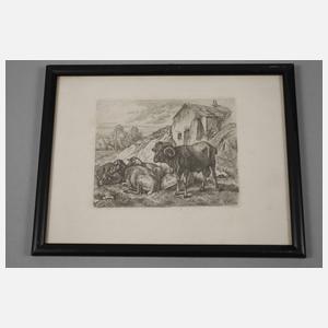 Johann Adam Klein, Konvolut Graphik