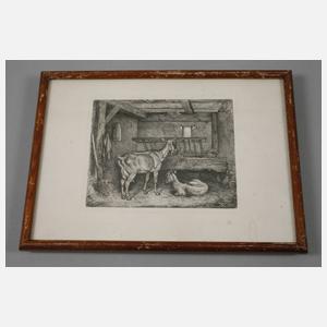 Johann Adam Klein, Konvolut Graphik