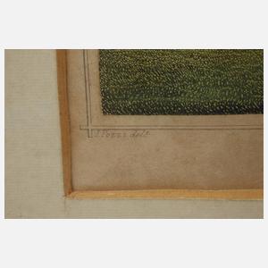 Knopfmacher, "Das Residenzschloss in Weimar"