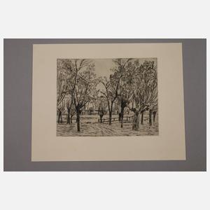 Prof. Paul Baum, Zwei Radierungen