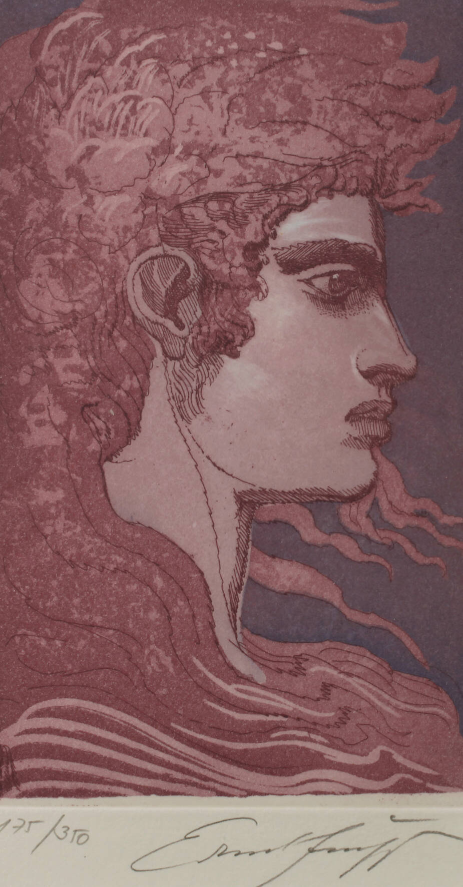 Prof. Ernst Fuchs, Adonis im Profil