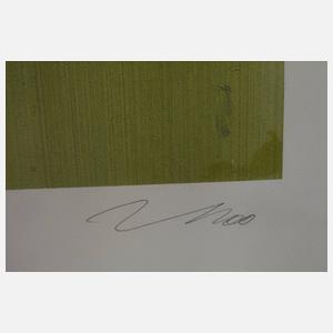 Prof. Jörg Immendorff, "80 Jahre Joseph Beuys"