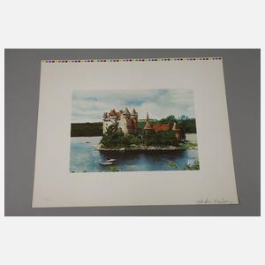 Malcolm Morley, "Rhine Château"