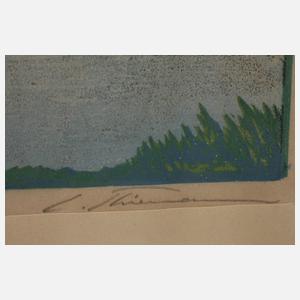 Carl Thiemann, Sommer am See