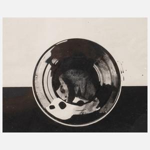 Hermann Frauenknecht, "Spiegelungen und Reflexe"