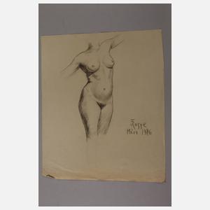 Prof. Johannes Friedrich Rogge, Aktzeichnungen