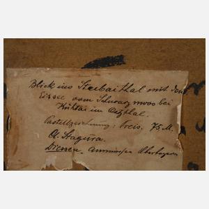 Prof. Albert Stagura, Blick ins Stubaital