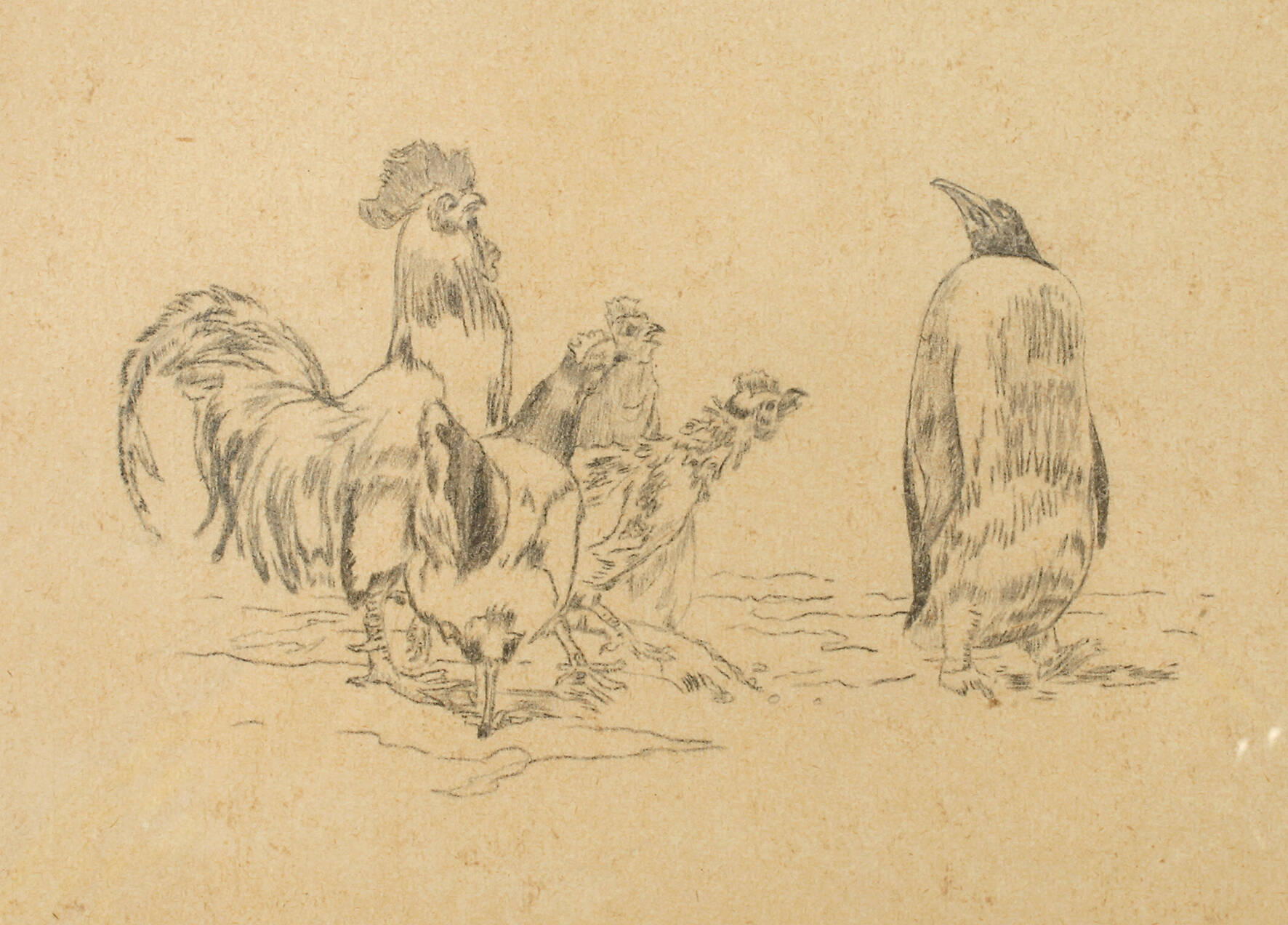 Ein seltener Anblick