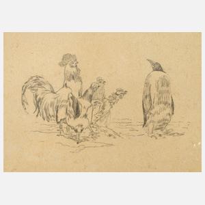 Ein seltener Anblick