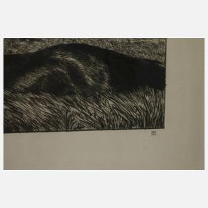 Prof. Max Klinger, "Verfolgter Centaur"