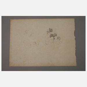 Die Hänselmühle im Loschwitzgrund