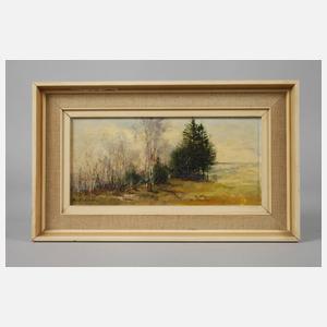 Manfred Feiler, Kleine Frühlingslandschaft